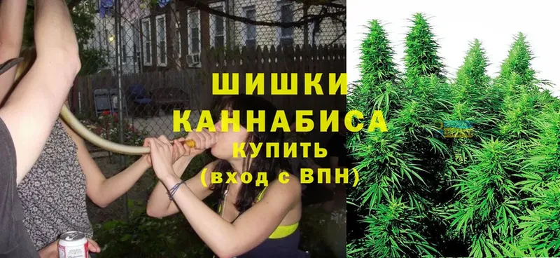 Шишки марихуана Bruce Banner  Верхняя Пышма 